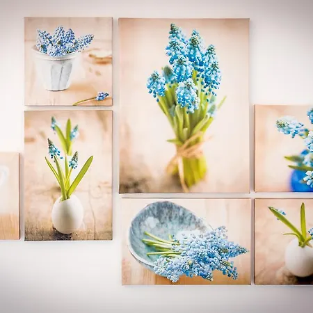 Oleandar Rogoznica (Sibenik-Knin)