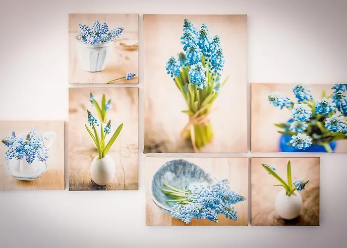 Oleandar Rogoznica (Sibenik-Knin)